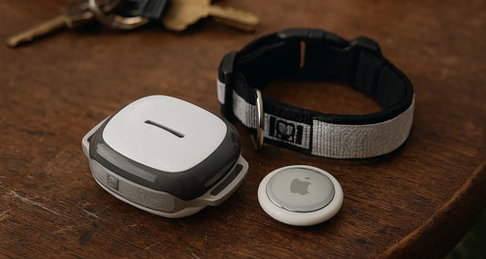 AI generated image of GPS collar and Airtag posted by Pixel Pounce