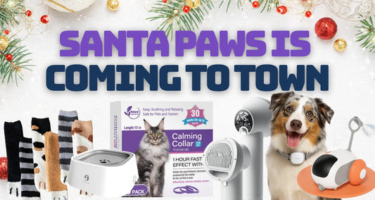 Pixel Pounce Christmas 2025 Banner