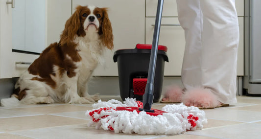 Dog watching his owner mop wet floor posted by Pixel Pounce