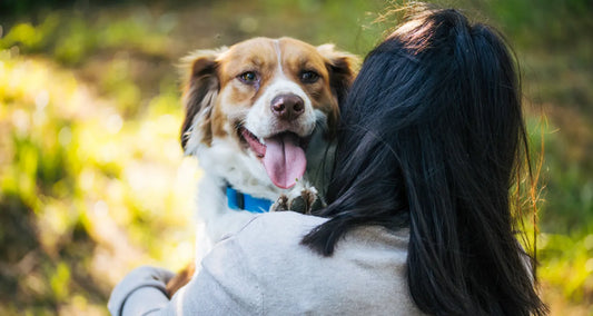 Woman hugging her dog facing away from the camera reposted by Pixel Pounce