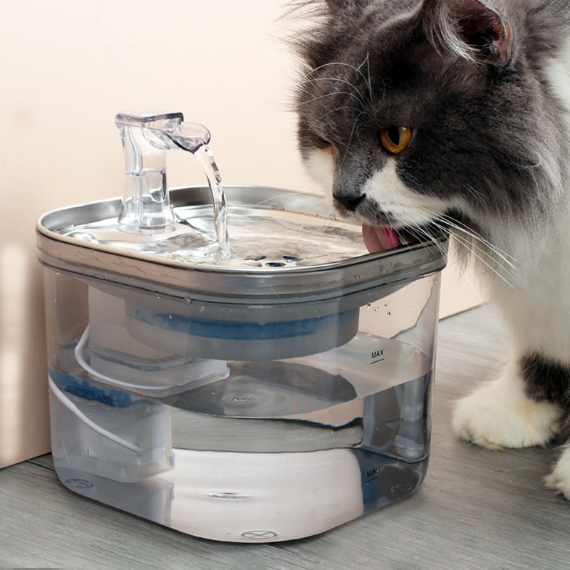 SipStream Stainless Transparent Pet Water Fountain