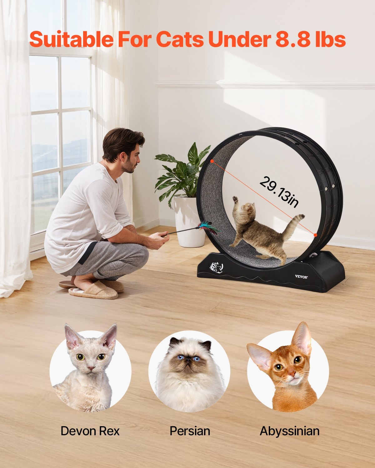 ZoomieWheel Indoor Cat Exercise Treadmill | Black