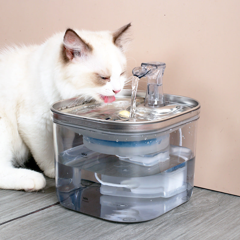 SipStream Stainless Transparent Pet Water Fountain