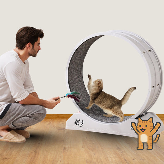 ZoomieWheel Indoor Cat Exercise Treadmill | White