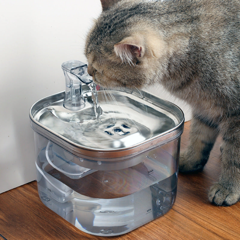 SipStream Stainless Transparent Pet Water Fountain