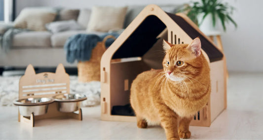 Cat in beautiful living room and cat house posted by Pixel Pounce
