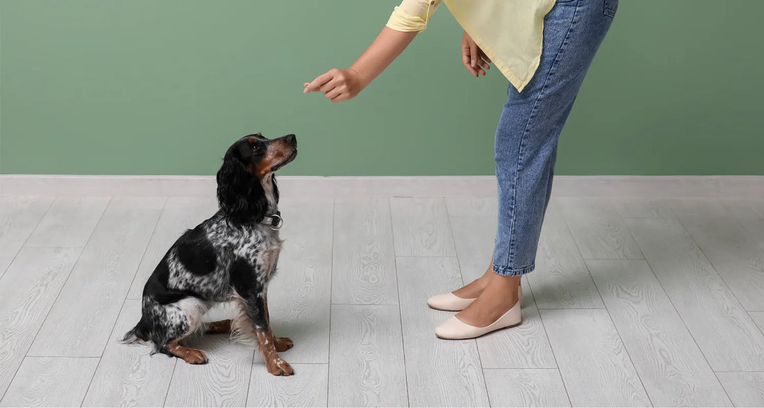Dog being trained by female handler reposted by Pixel Pounce